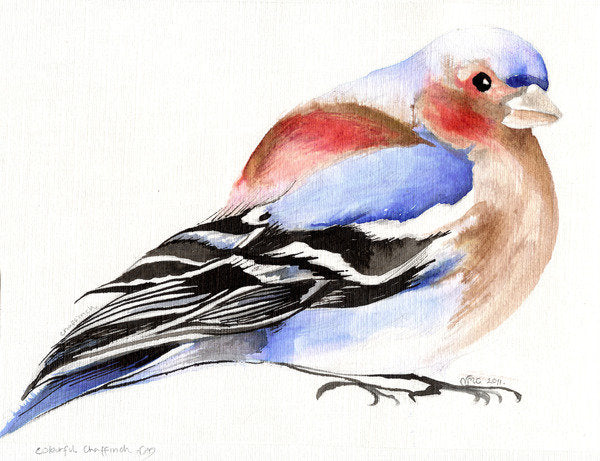 Detail of Colourful Chaffinch, 2011 by Nancy Moniz Charalambous