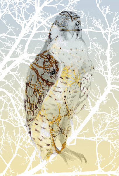 Detail of Peregrine Falcon, 2015 by Nancy Moniz Charalambous