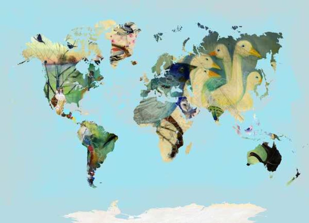 Detail of A Bird World, 2016 by Nancy Moniz Charalambous