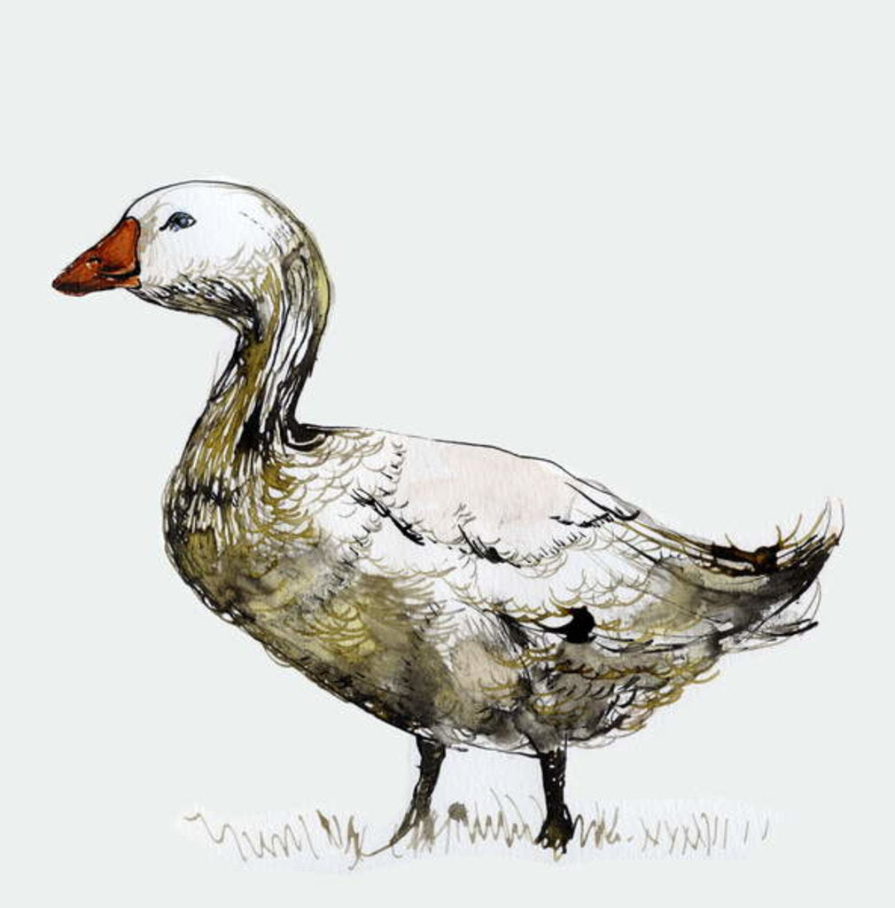 Detail of Filthy Goose, 2017 by Nancy Moniz Charalambous