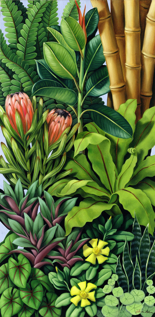 Detail of Foliage III, 2005 by Catherine Abel