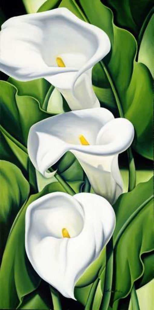 Detail of Lilies, 2002 by Catherine Abel