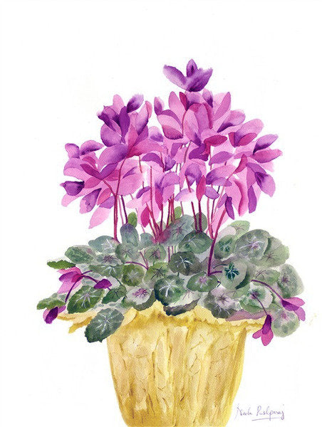 Detail of Cyclamen by Neela Pushparaj