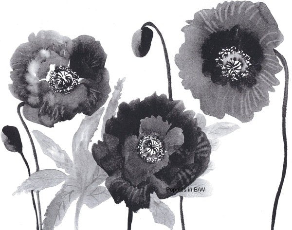 Detail of Poppies in Black and white by Neela Pushparaj