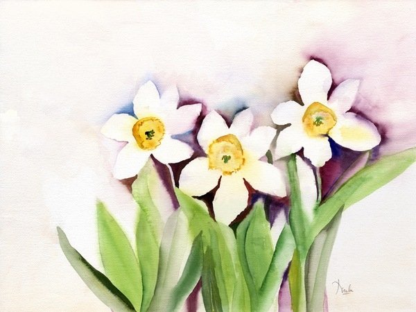 Detail of Three Daffodils, 2007 by Neela Pushparaj
