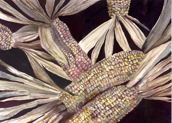 Detail of Corn, 1999 by Neela Pushparaj