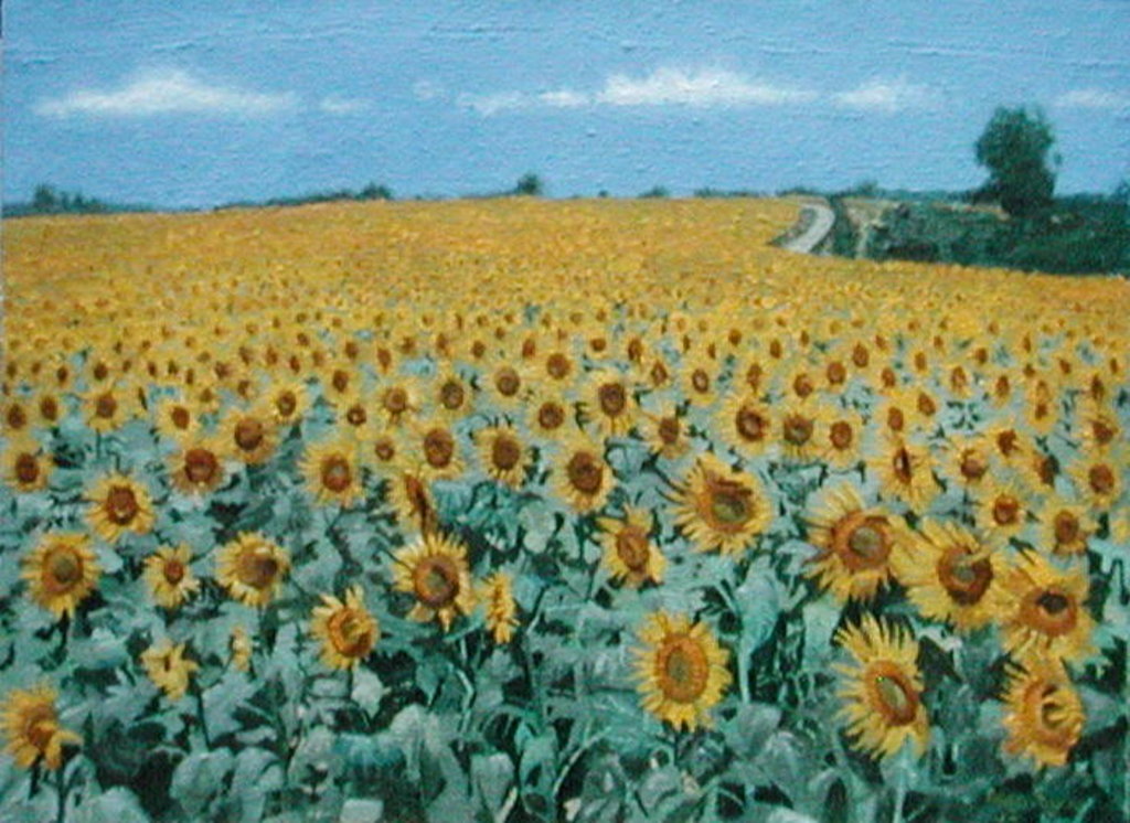 Detail of Field of Sunflowers, 2002 by Alan Byrne