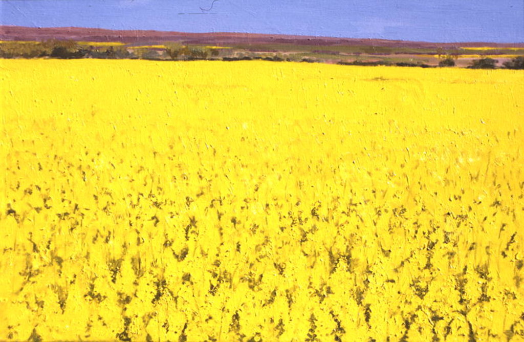 Detail of Rape Field, 2003 by Alan Byrne