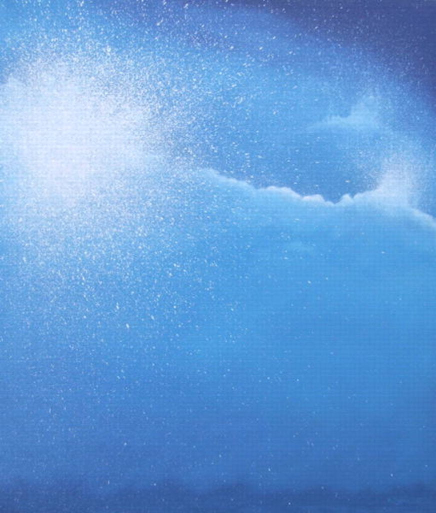 Detail of Sea Picture III, 2008 by Alan Byrne