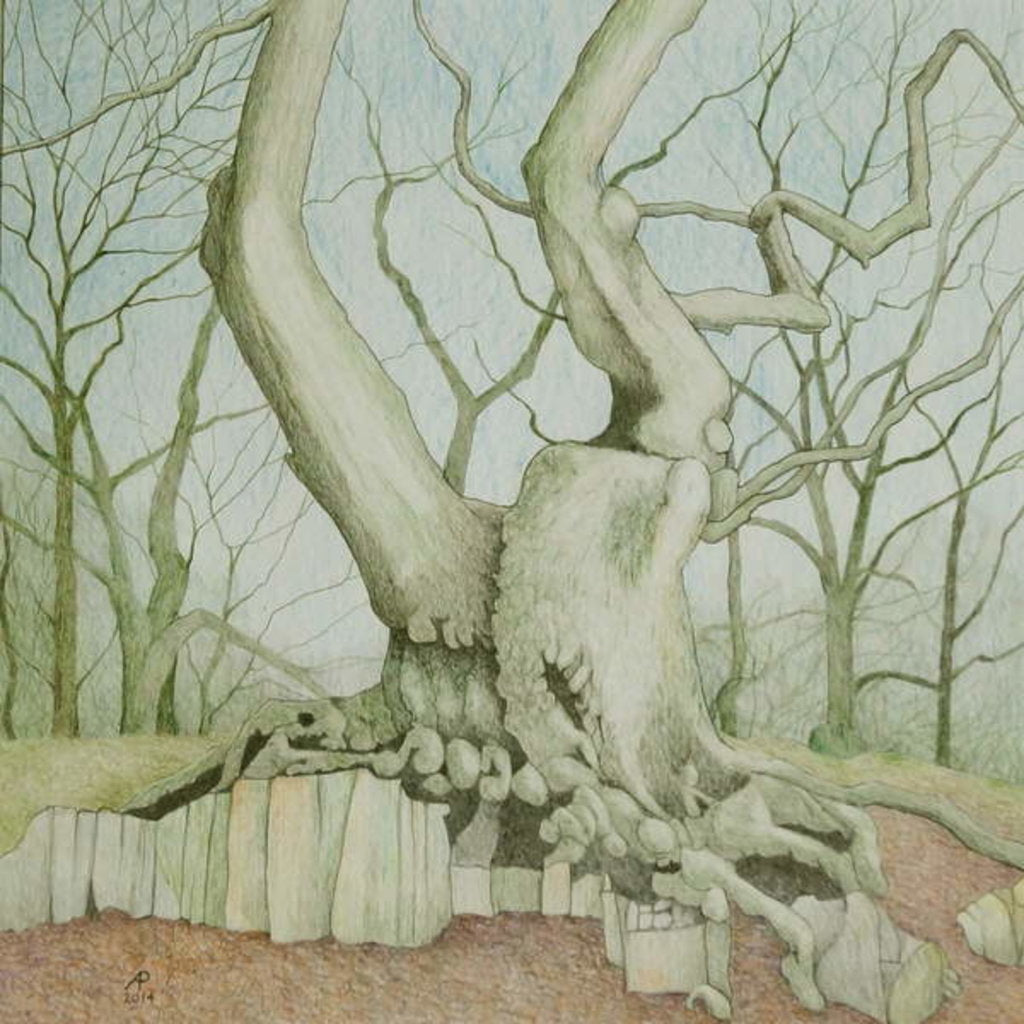 Detail of Swithland Oak, 2014 by Ann Brain