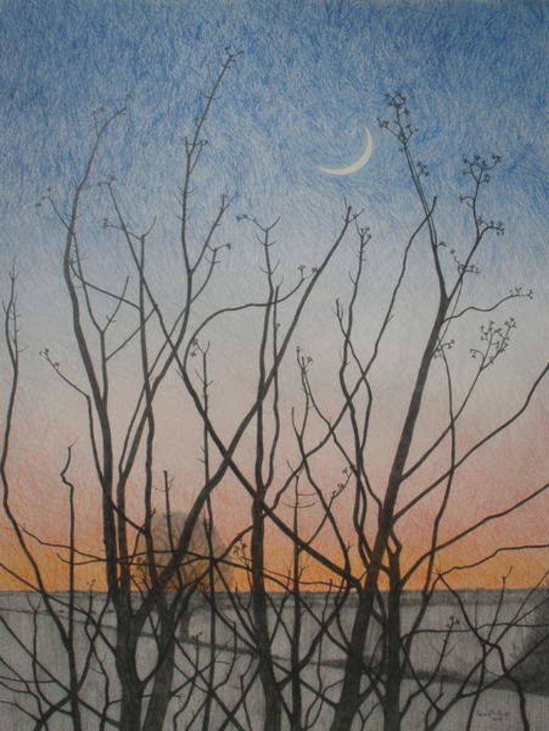 Detail of From my Window, 2011 by Ann Brain