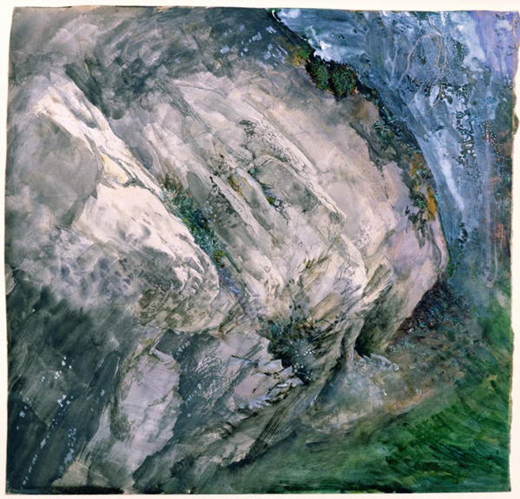 Detail of Rocks and vegetation at Chamouni, 1854 by John Ruskin