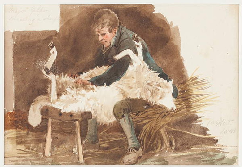 Detail of Shearing sheep, 1808 by John Harden