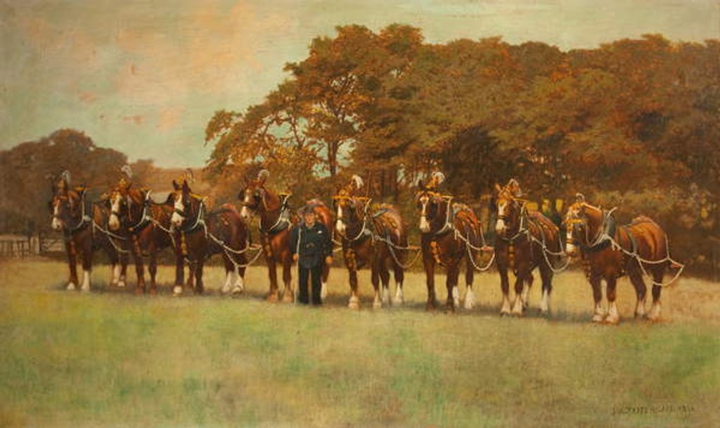 Detail of Shire Horses, 1896 by James Weaver Tattersall