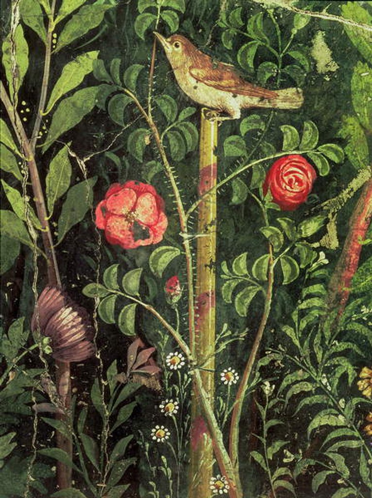 Detail of Wall painting of a bird in a garden, Pompeii, 1st century AD by Anonymous