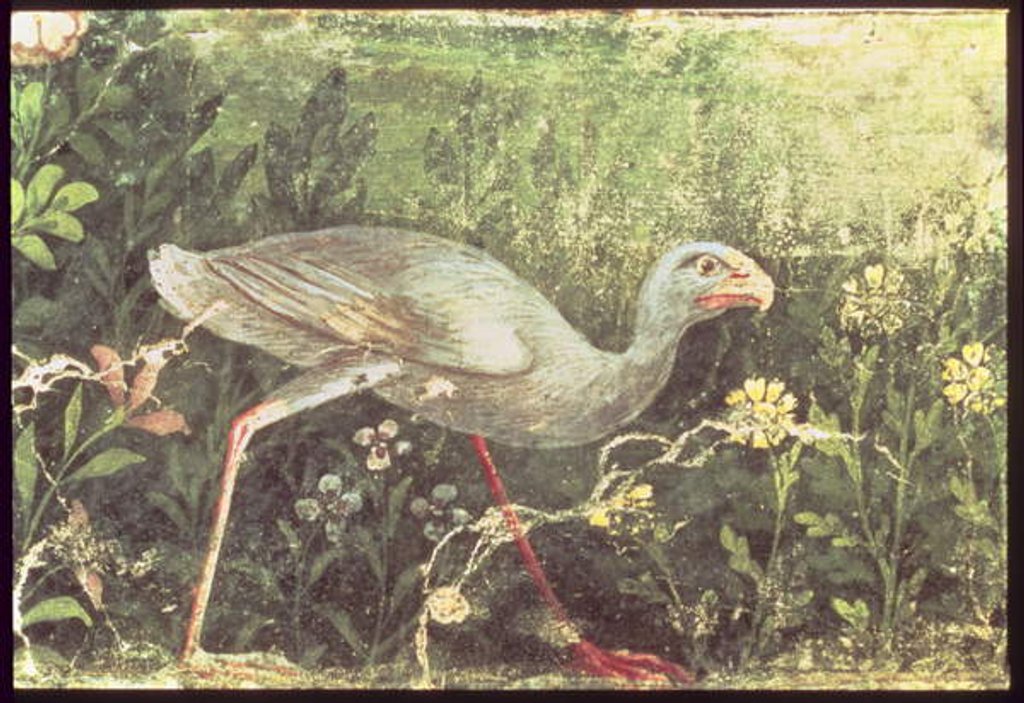 Detail of Wall painting of a Sultan chicken in a garden, Pompeii, 1st century AD by Anonymous