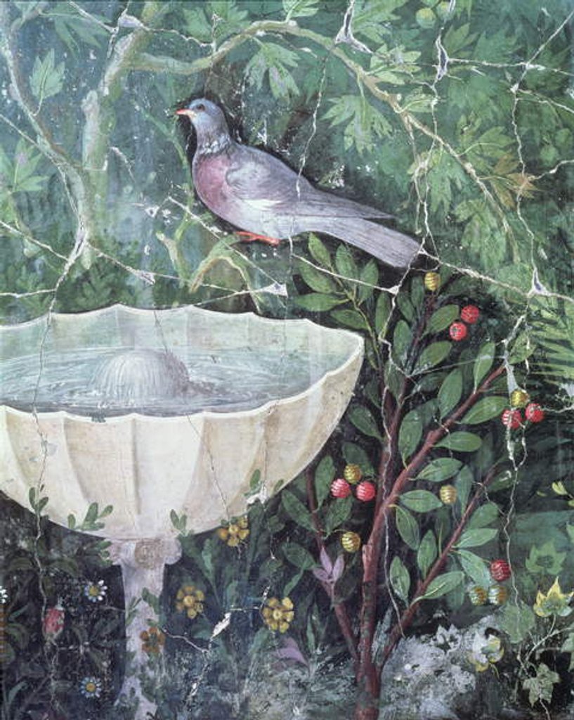 Detail of Wall painting of a dove in a garden by a fountain, House of the Golden Bracelet, Pompeii, 1st century AD by Anonymous