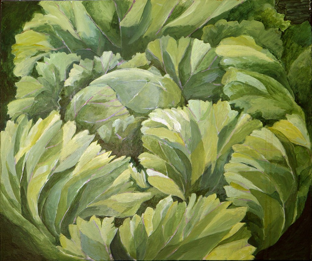 Detail of Cabbage, 2013 by Jennifer Abbott