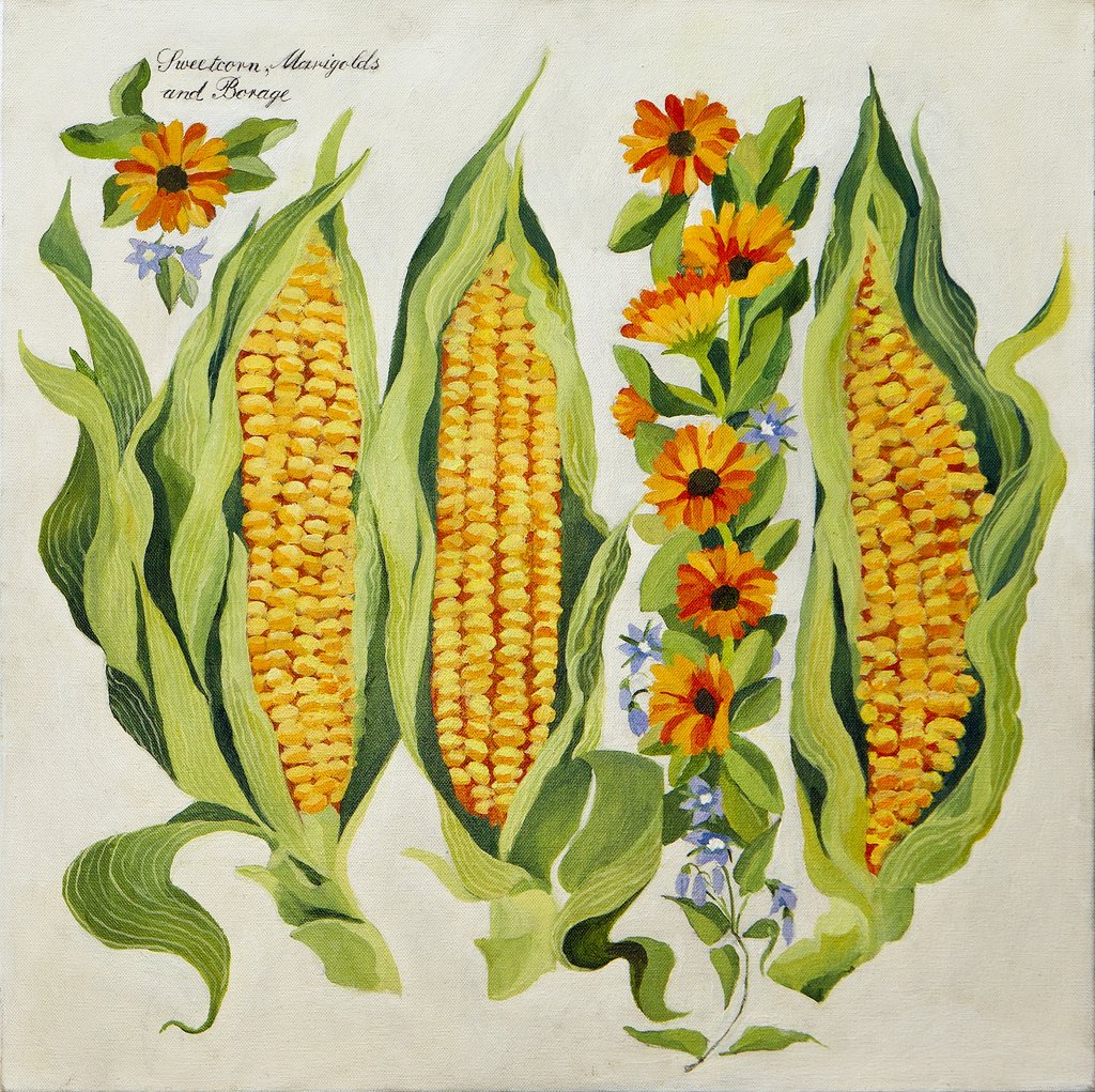 Detail of Corn and marrow flowers, 2014 by Jennifer Abbott