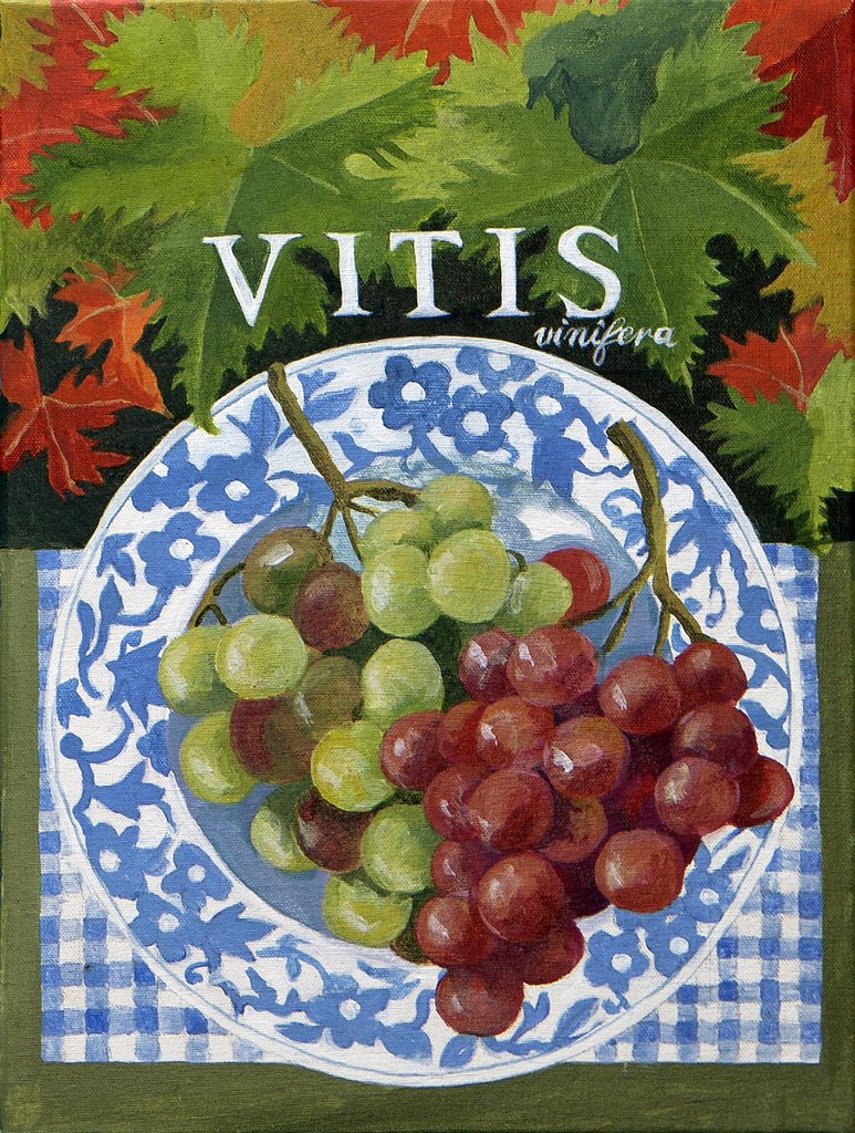 Detail of Vitus, 2014 by Jennifer Abbott