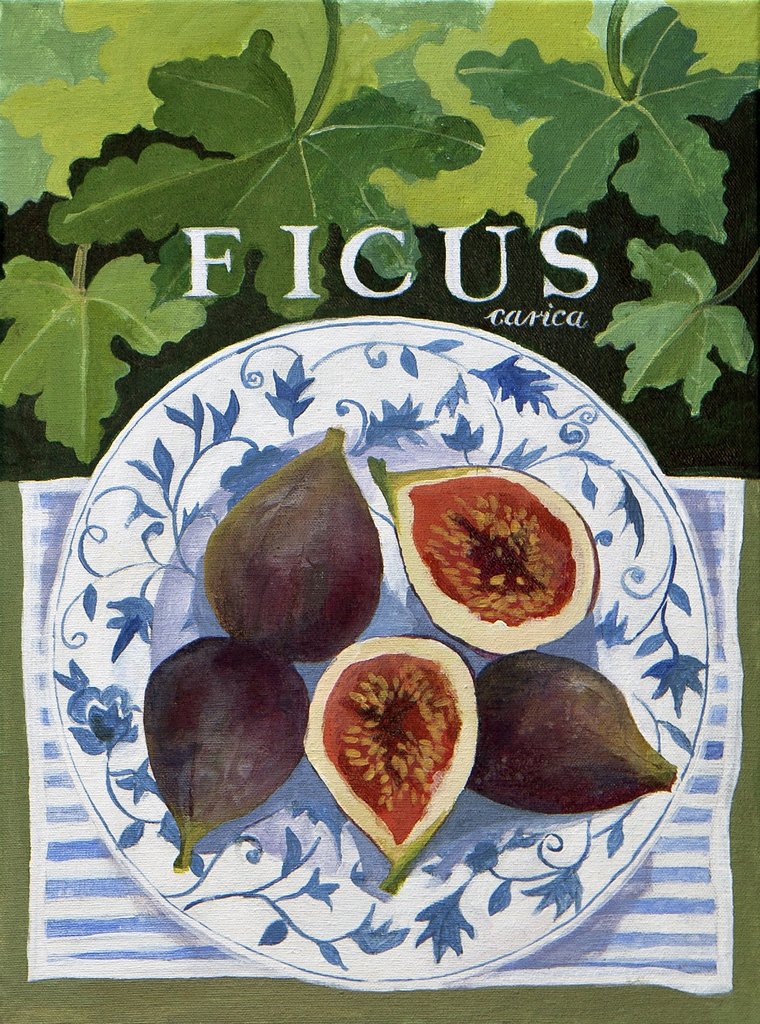 Detail of Fieus, 2014 by Jennifer Abbott