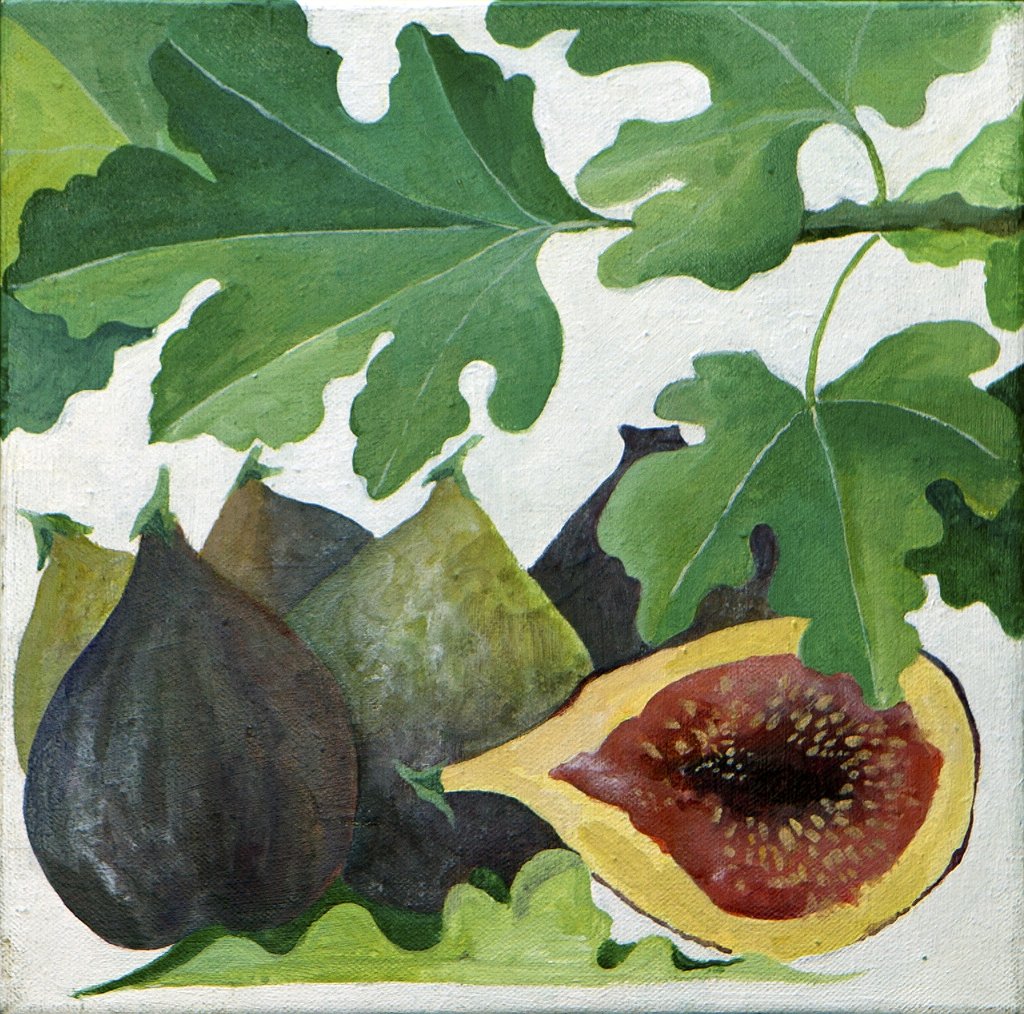 Detail of Figs, 2013 by Jennifer Abbott