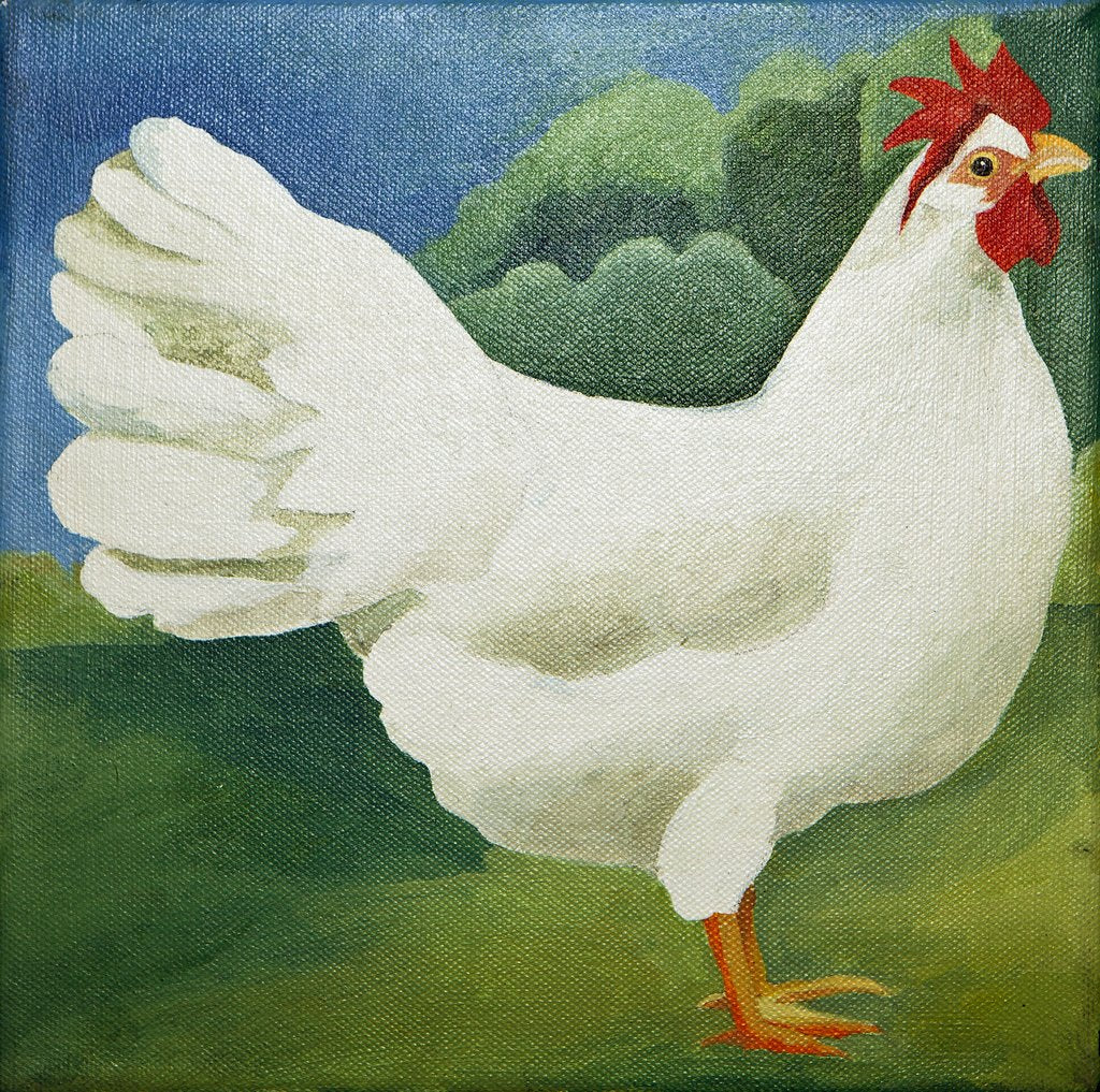 Detail of Cockerel, 2013 by Jennifer Abbott