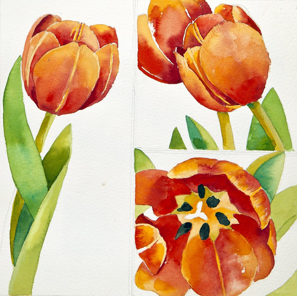 Detail of Three tulip studies in a sure, 2013 by Jennifer Abbott