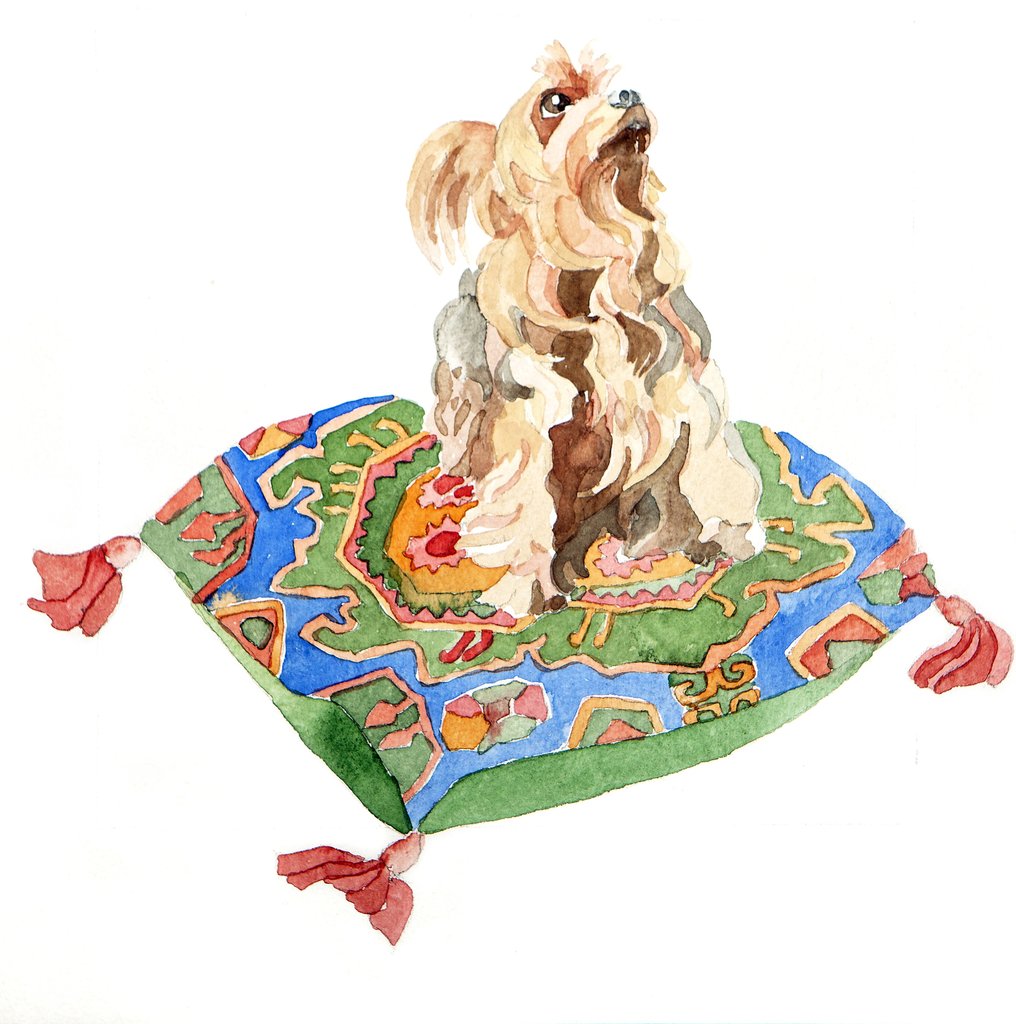 Detail of Yorkshire terrier, 2012 by Jennifer Abbott