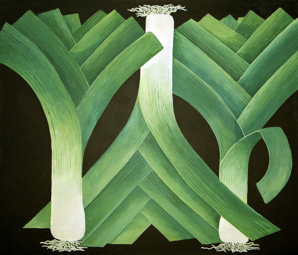 Detail of Leeks, 2014 by Jennifer Abbott