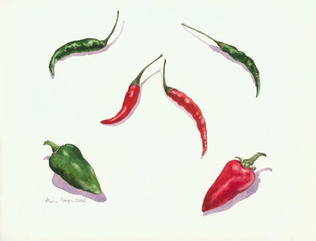 Detail of Chillies and Peppers, 2005 by Alison Cooper