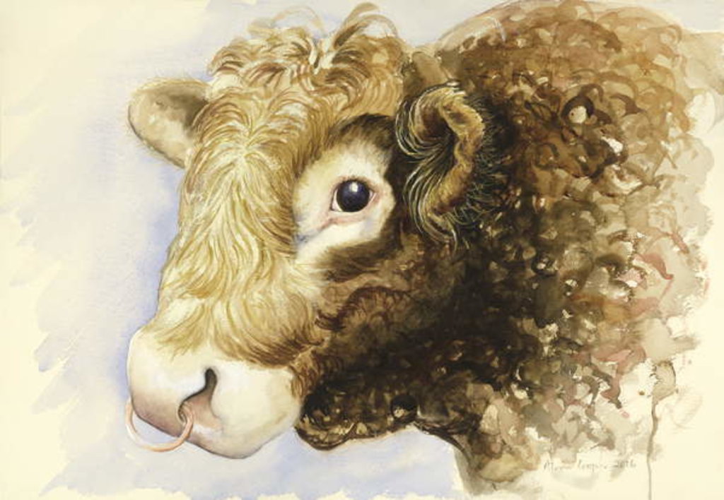 Detail of Adam the Bull, 2016 by Alison Cooper