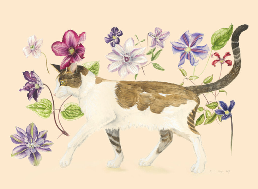 Detail of A Cat called Dave, 2017 by Alison Cooper