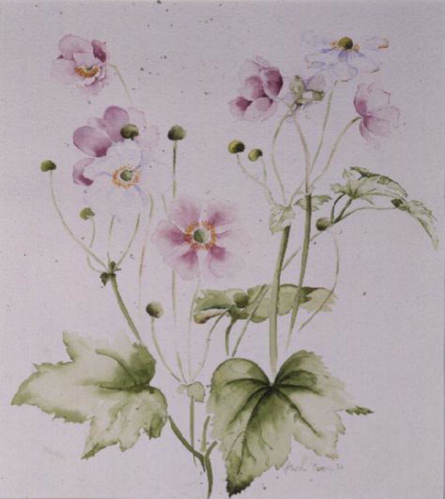 Detail of Hellebores, 1990 by Alison Cooper