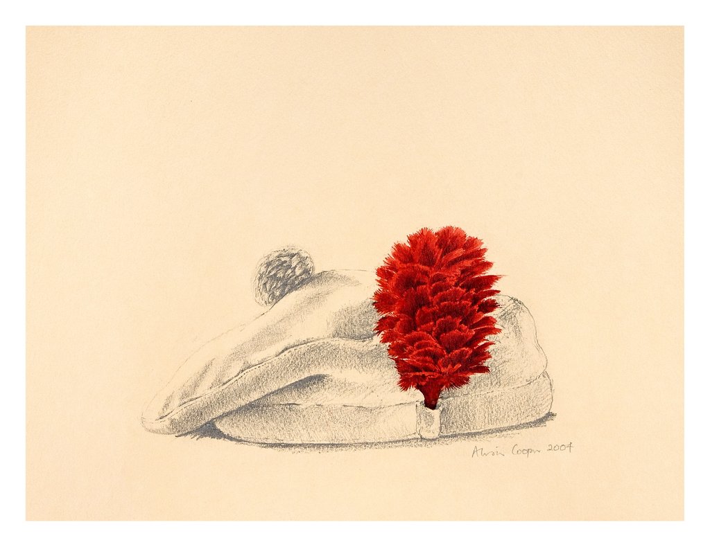 Detail of A Black Watch Red hackle, 2004 by Alison Cooper