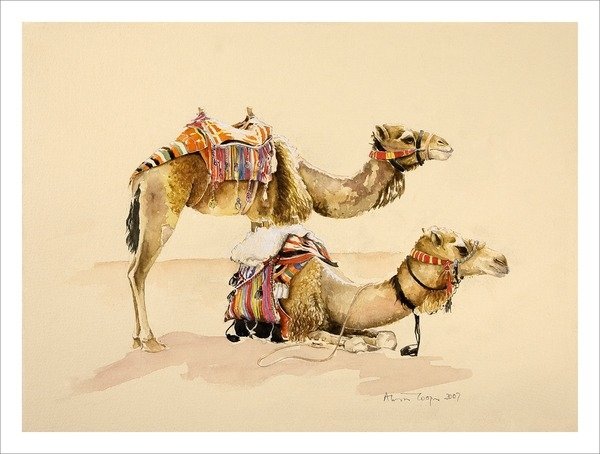 Detail of Camels from Petra, 2007 by Alison Cooper