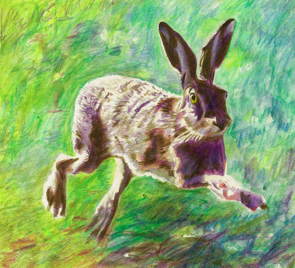 Detail of Joyful Hare, 2011 by Helen White