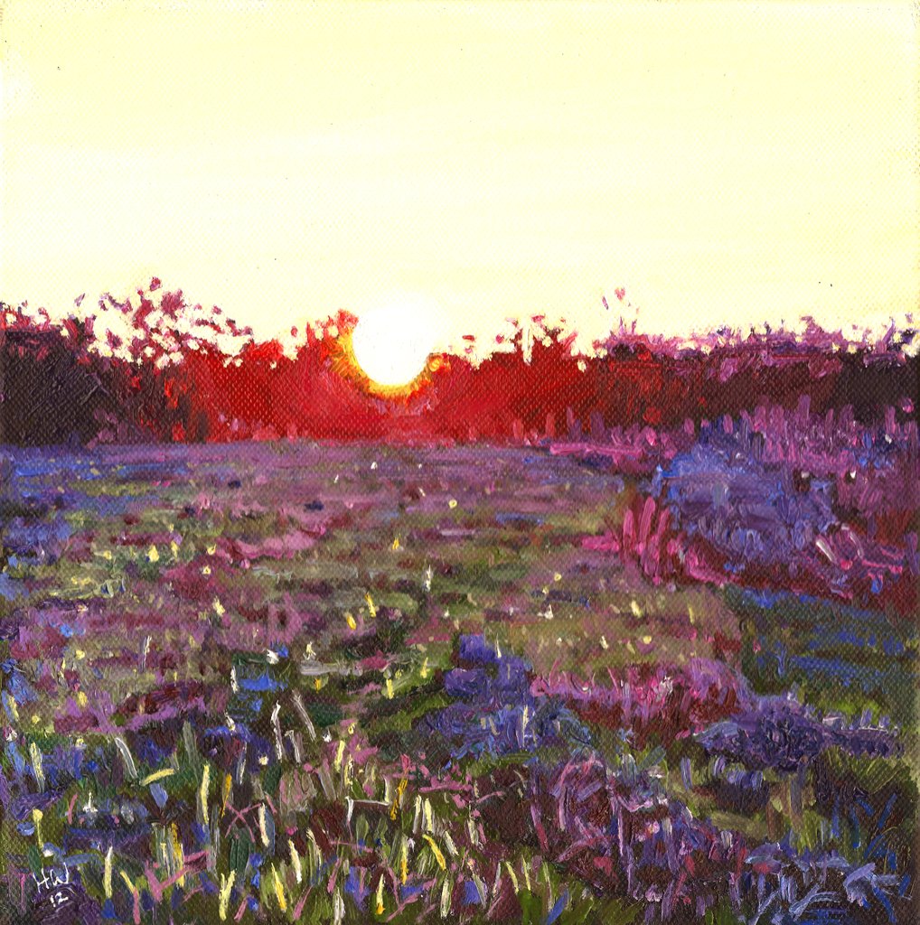 Detail of Farley Sunset, 2012 by Helen White