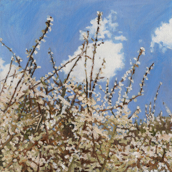 Detail of Mayflower, 2012 by Helen White