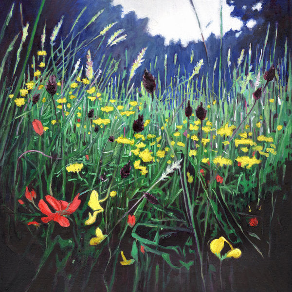 Detail of Meadow Glory, 2015 by Helen White