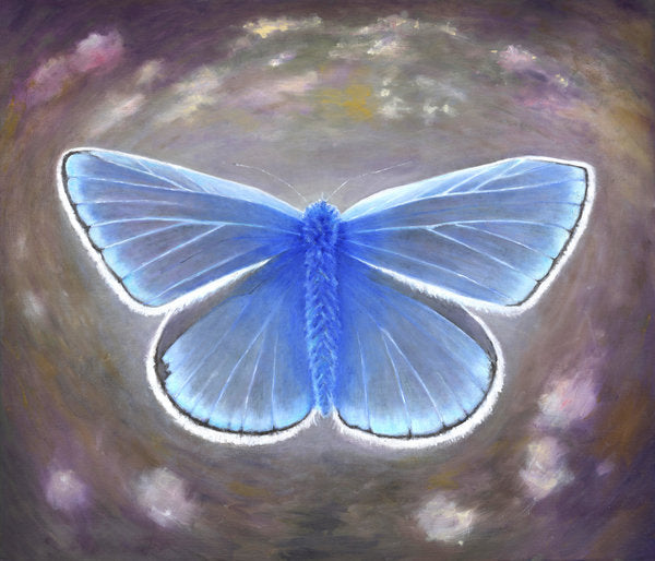 Detail of Uncommon Blue, 2015 by Helen White