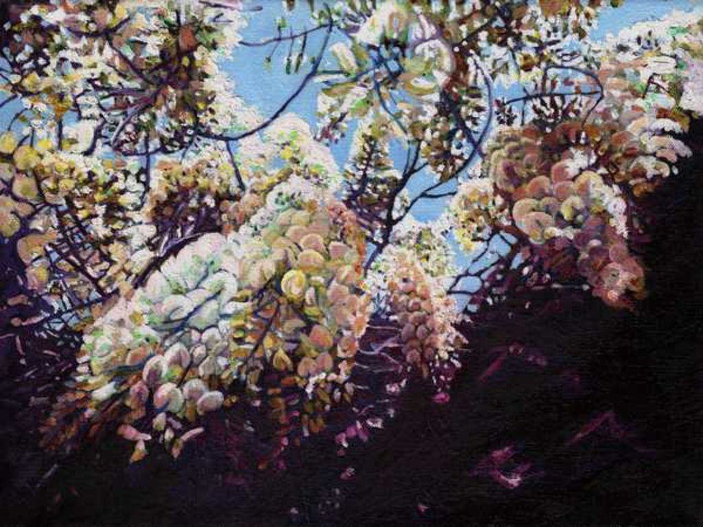 Detail of Wisteria, 2012 by Helen White