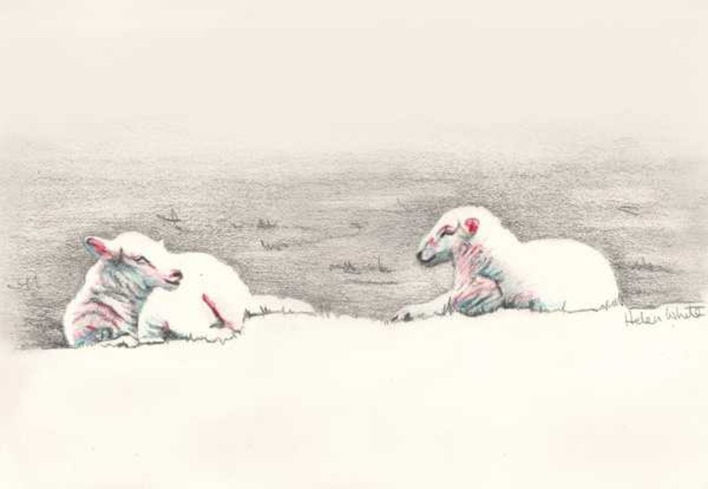 Detail of Napping, 2016 by Helen White