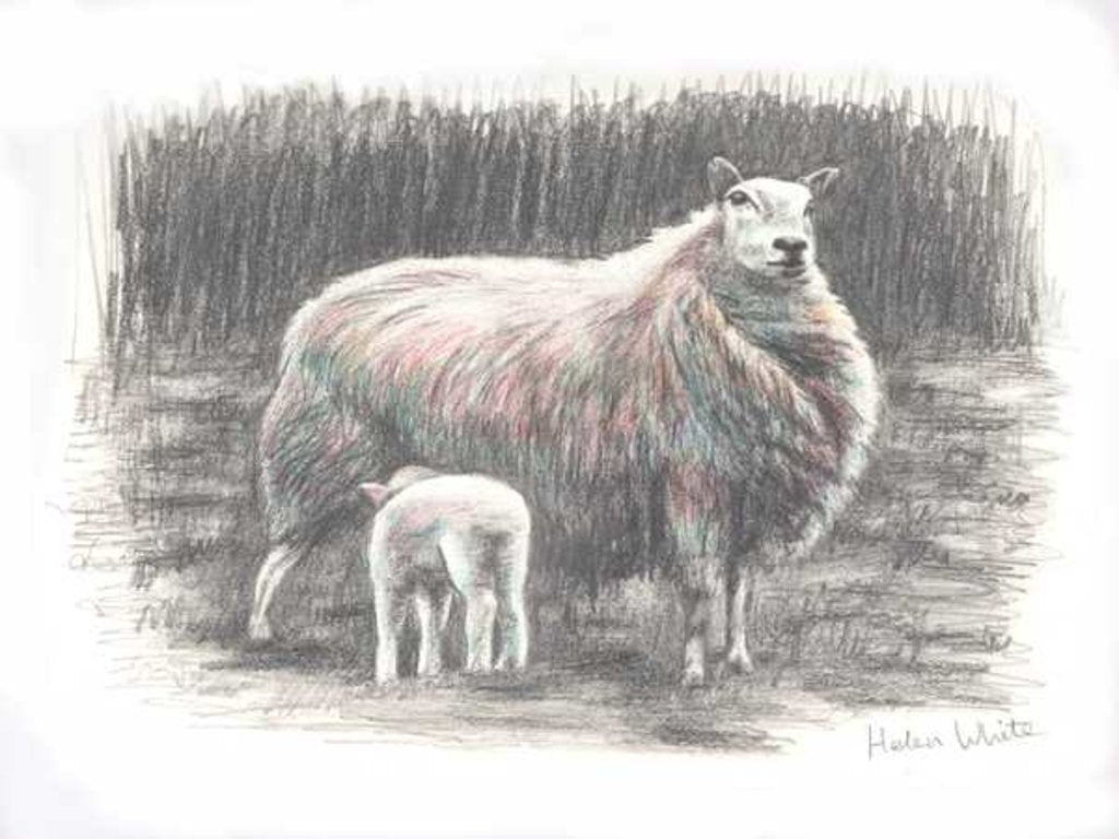 Detail of Proud, 2016 by Helen White