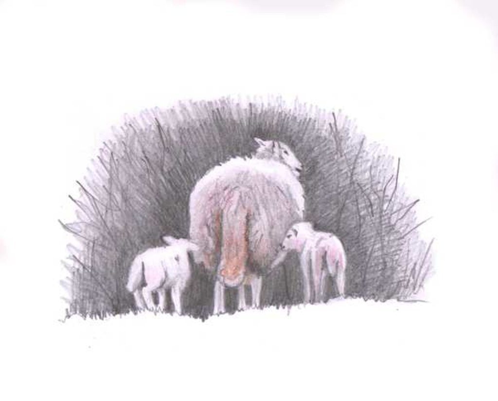 Detail of Follow, 2016 by Helen White