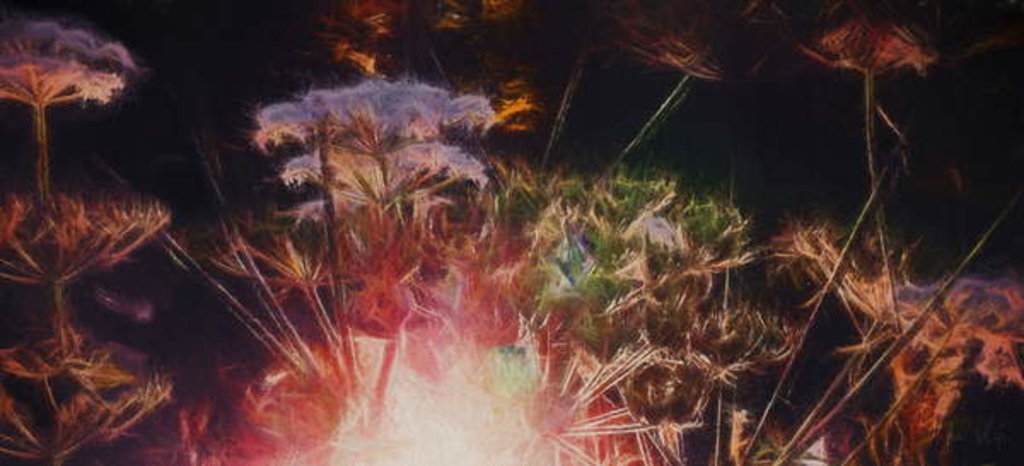 Detail of Radiant Hedgerow, 2018 by Helen White