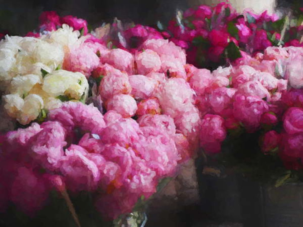 Detail of Peony Season, 2018 by Helen White