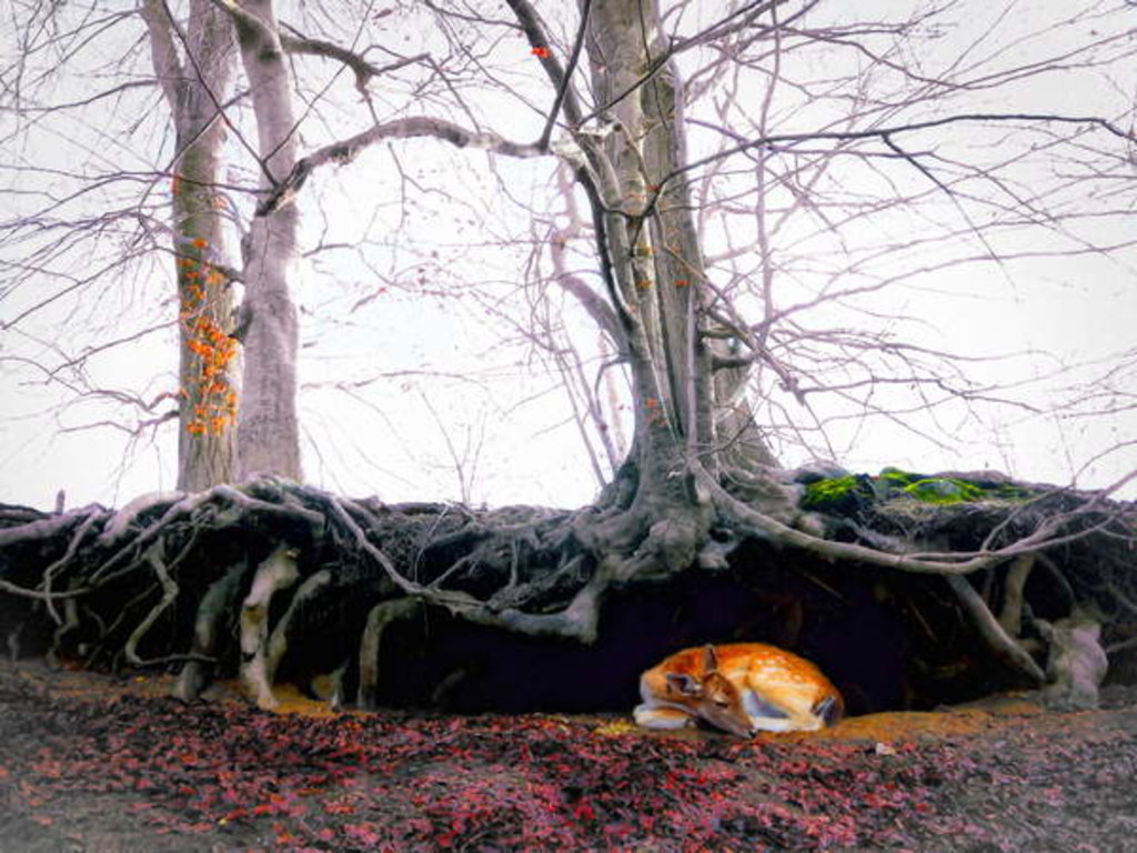 Detail of Sanctuary, 2018 by Helen White