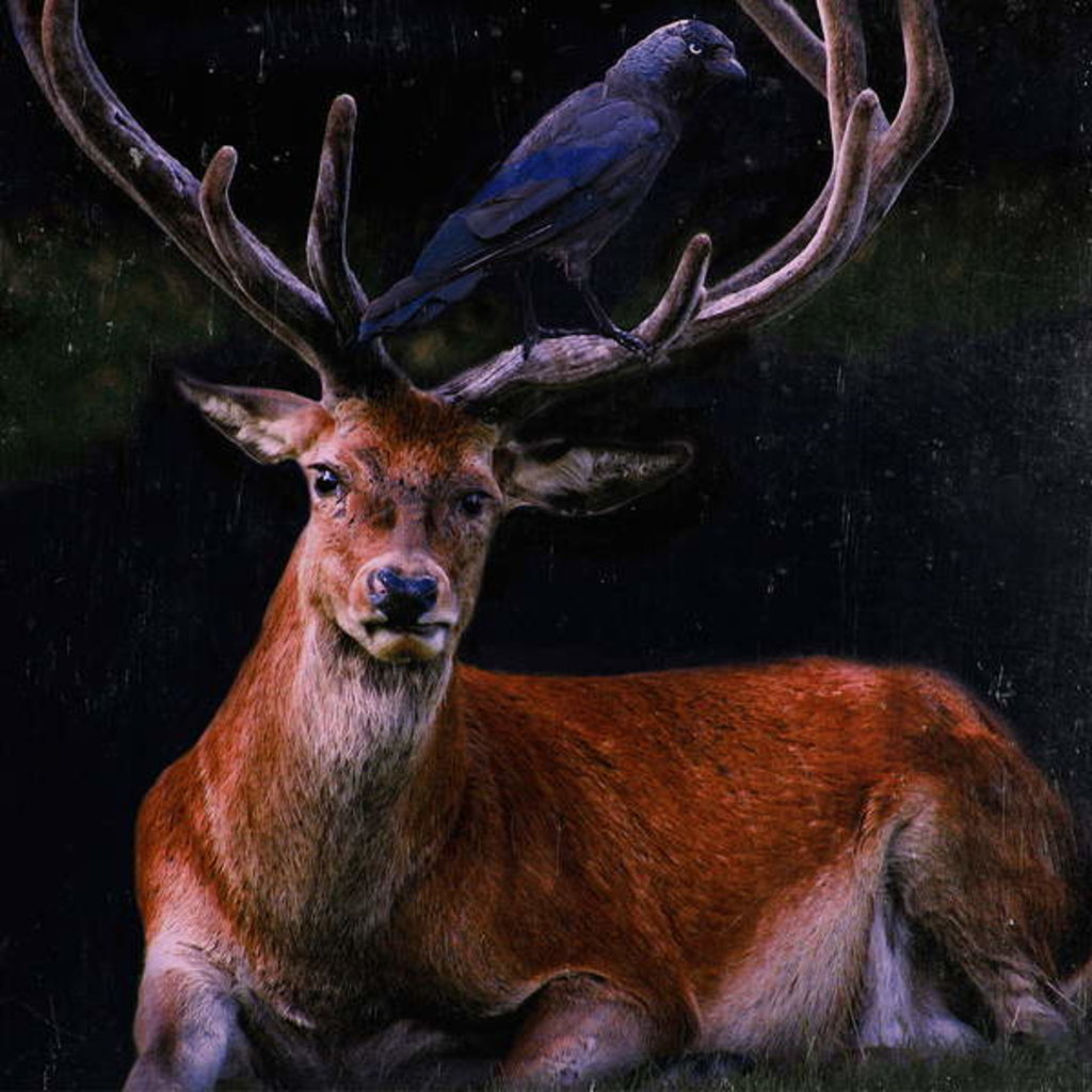 Detail of Soul Mates, 2018 by Helen White