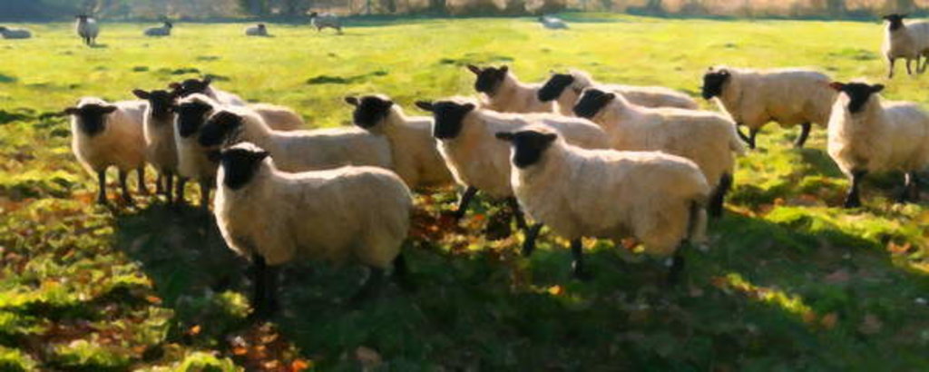 Detail of Flock Watching, 2018 by Helen White